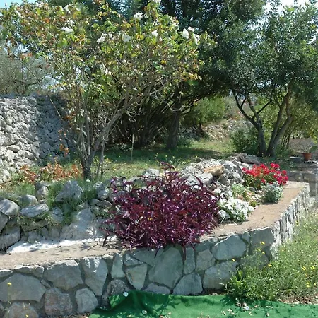 Tatil Evi Il Trealberi